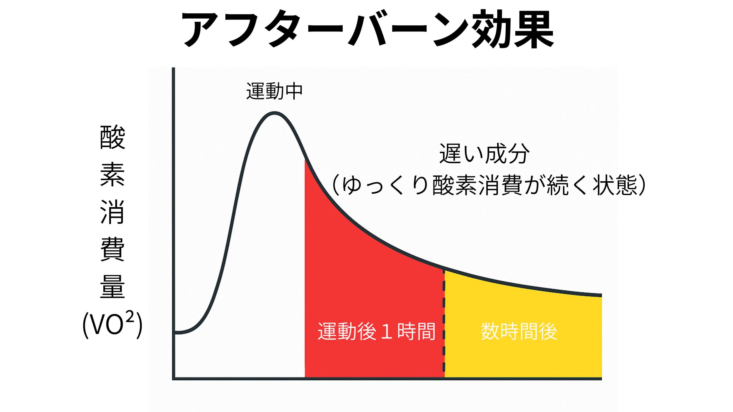 アフターバーン効果（EPOC）の図解